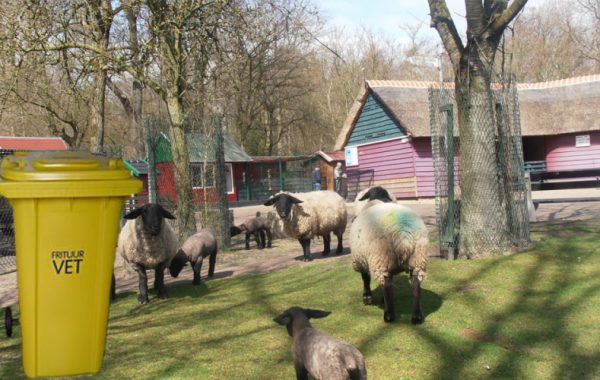 Behoud stadsboerderij Holywood